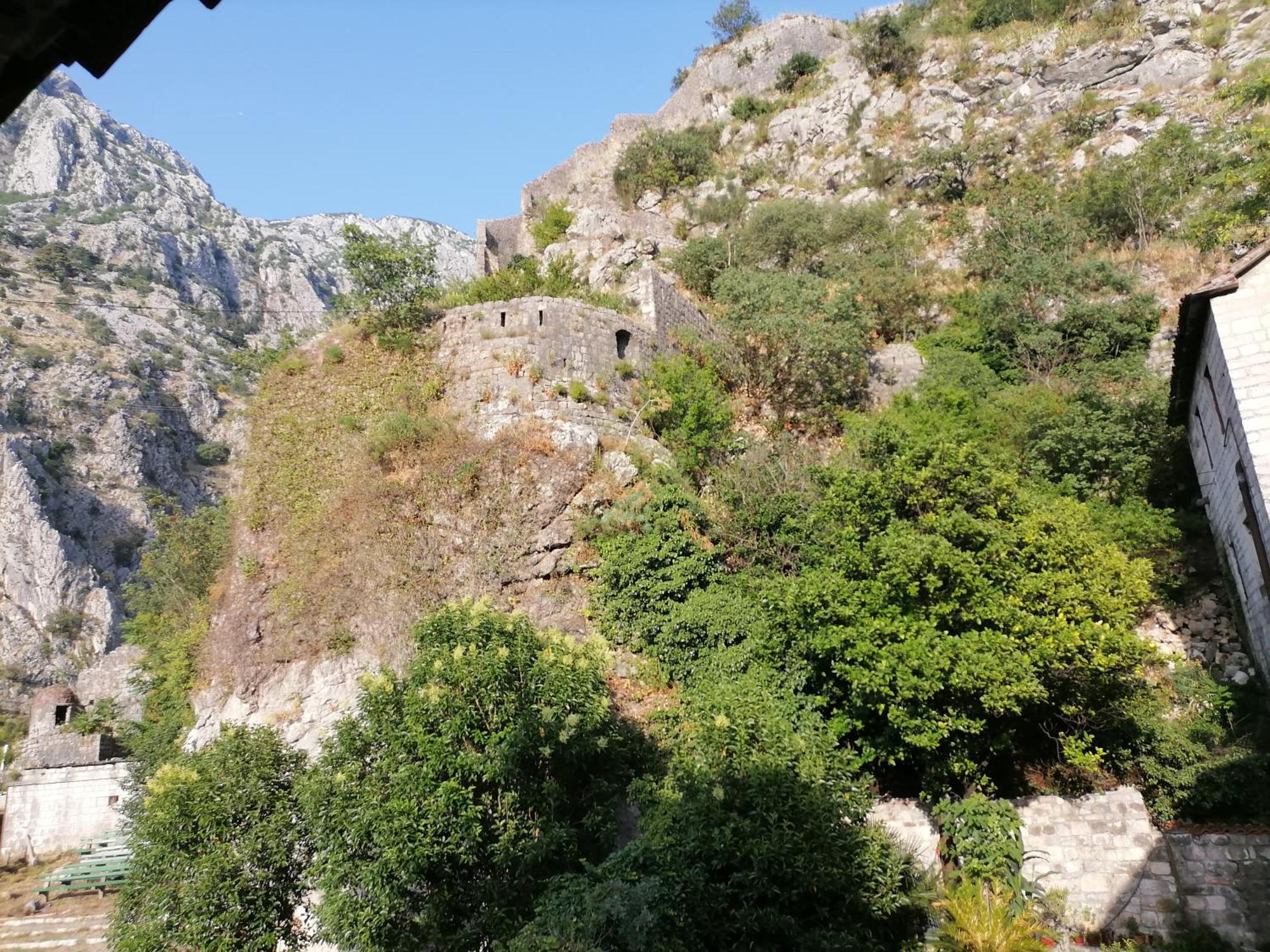Apartments Dukic Kotor Habitación foto